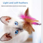 Feather & Bell Teaser Wand for Cats